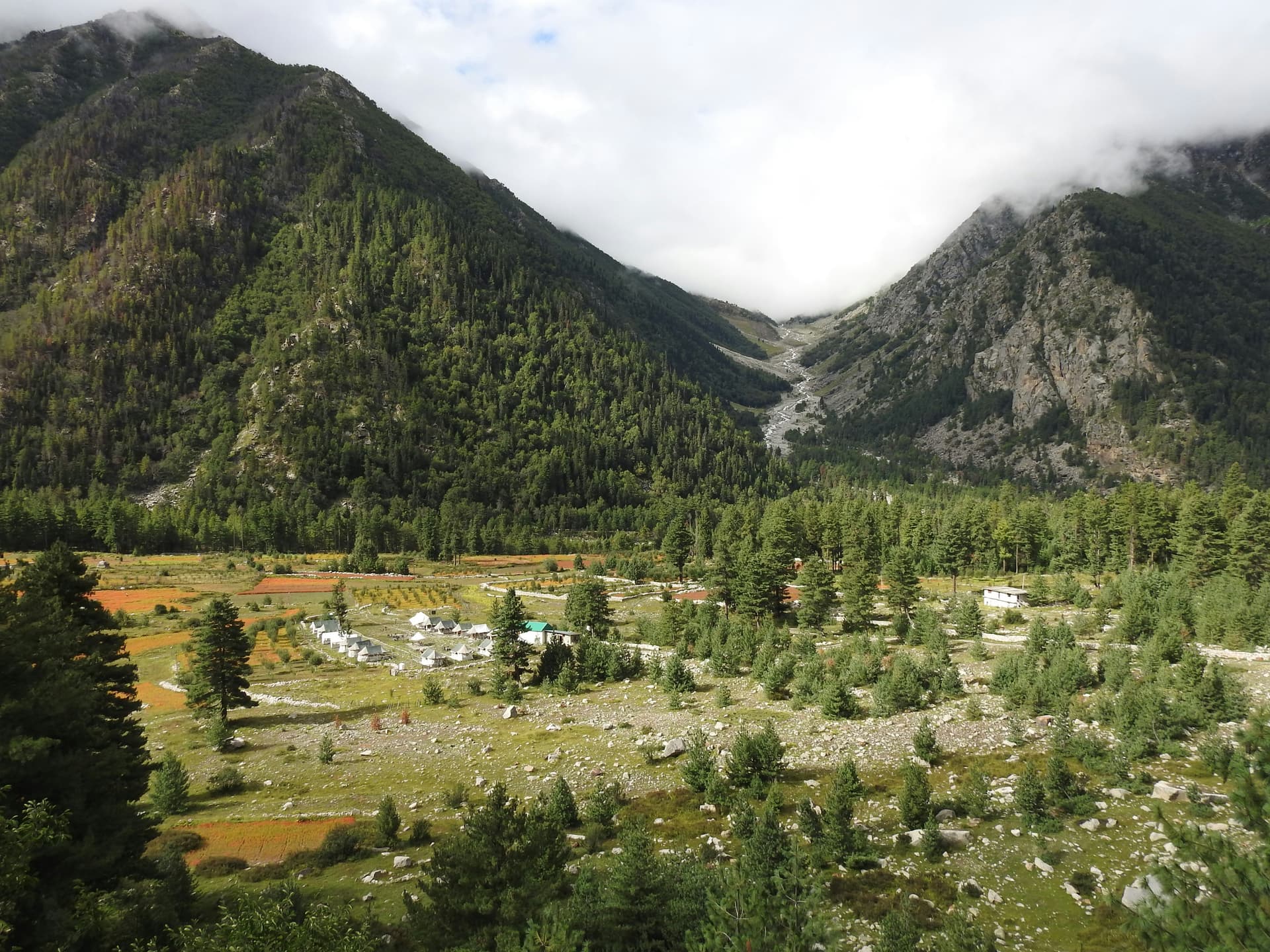 A scenic view of a mountain range with a forest in the foreground
